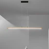 23W LED pakabinamas šviestuvas JOSEPH, medžio sp., CCT