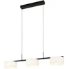 24W LED pakabinamas šviestuvas AUSTIS, juodos/baltos sp., 3000/4000/6000K