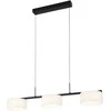 24W LED pakabinamas šviestuvas AUSTIS, juodos/baltos sp., 3000/4000/6000K