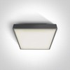 24W LED plafonas, antracito sp., 3000K, 67282AN/AN/W