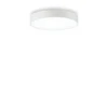 Lubinis šviestuvas Ideal Lux 25W ceiling lamp with 1 light HALO, 3000K, chrome