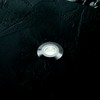 2,5W LED įleidžiamas lauko šviestuvas ROCKET-ULTRAMINI, plieno sp., 3000K, IP67, 325156