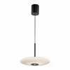 26W LED pakabinamas šviestuvas E-VITRUM, rudos sp. korpusu, 2700-5000K, dimeriuojamas, reguliuojamo aukščio