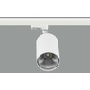28,6W LED akcentinis šviestuvas LUXCAN R į 3 fazių bėgelius, baltas, 4000K, 36º