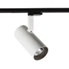 28W LED akcentinis vienfazis šviestuvas RUSSO M, baltos/pilkos sp., 4000K