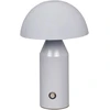 2W LED įkraunamas stalo šviestuvas DORBIA, pilkas, 3000/6500K, dimeriuojamas