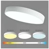 Lubinis šviestuvas TOPE Lubinis baltas LED šviestuvas "BOSTON" 2x60W