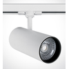 30W LED šviestuvas į bėgelius, baltas, 3000K, 65642CT/W/W
