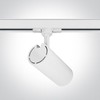 Lubinis šviestuvas 30W LED šviestuvas į bėgelius, baltas, 4000K, 65642CT/W/C