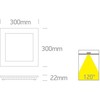 30W LED įleidžiama panelė, balta, 3000/4000/5700K, 50130FA/W/V
