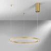 30W LED pakabinamas šviestuvas HOOP, aukso sp., CCT