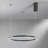 30W LED pakabinamas šviestuvas HOOP, juodas, CCT
