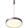 Pakabinamas šviestuvas 5361-830RP-CO-3