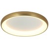Lubinis šviestuvas 30W LED paviršinis šviestuvas, aukso sp., 3000K, 2042