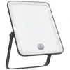 Ledvance 30W LED prožektorius ESSENTIALS, juodas, 6500K, su judesio davikliu