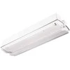 Intelight 3,5W avarinis/evakuacinis šviestuvas ORION LED II 100 M 3H MT, baltas