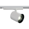 35W LED akcentinis šviestuvas į 3 fazių bėgelį, baltas, 4000K, DALI, 65660BTL/W/C