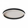 38W LED lubinis šviestuvas, juodas, 2700/3000/4000K, dimeriuojamas, 25167