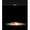 3W LED įleidžiamas šviestuvas DOT, juodas, 2700K, E3949090N
