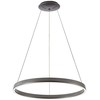 40W LED pakabinamas šviestuvas VENUS, tamsiai pilkas, 3000/4000K, 4342500