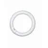 Osram 40W lempa LUMILUX T9 C, G10q, 4000K, 399mm