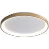 50W LED lubinis šviestuvas RADEN, aukso/baltos sp., 3000/4000/6000K