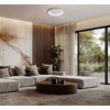 50W LED lubinis šviestuvas RADEN, aukso/baltos sp., 3000/4000/6000K