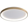 50W LED lubinis šviestuvas RADEN, aukso/baltos sp., 3000/4000/6000K