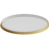 50W LED paviršinis/pakabinamas šviestuvas DAMA, baltas/aukso sp., 3000/4000/5000K, 60cm, 01-3747