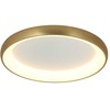 Lubinis šviestuvas 50W LED paviršinis šviestuvas, matinės aukso sp., 3000K, dimeriuojamas, 2050