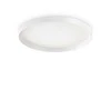 Ideal Lux Lubinis šviestuvas Fly Pl D60 4000K