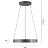 53W LED pakabinamas šviestuvas E-CLIPSE, pilkos sp., 2700-5000K, dimeriuojamas, 70cm, reguliuojamo aukščio