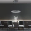 53W LED pakabinamas šviestuvas E-LOOP, pilkos sp., 2700-5000K, dimeriuojamas, 70cm, reguliuojamo aukščio