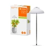 Ledvance 5W LED įsmeigiamas šviestuvas augalų auginimui, baltas, 3400K