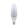 60W LED lemputė, E40, balta, 6500K, 300°