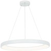 60W LED pakabinamas šviestuvas, baltas, 3000K, dimeriuojamas, 2061