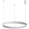 Italux 60W LED pakabinamas šviestuvas BRASCO DOWN, baltas, 3000/4000K, dimeriuojamas