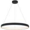 60W LED pakabinamas šviestuvas, juodas, 3000K, dimeriuojamas, 2060