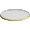 60W LED paviršinis/pakabinamas šviestuvas DAMA, baltas/aukso sp., 3000/4000/5000K, 80cm, 01-3748