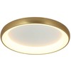 Lubinis šviestuvas 60W LED paviršinis šviestuvas, aukso sp., 3000K, dimeriuojamas, 2058