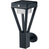Ledvance 6W LED fasado šviestuvas ENDURA STYLE SOLAR BOUQUET, juodas, 3000K, su sensorium