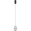 6W LED pakabinamas šviestuvas ALANI, juodos/aukso sp./skaidrus, 3000K