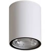 Lubinis šviestuvas 6W LED paviršinis fasado šviestuvas FANO 4K, baltas, 4000K