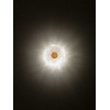 6W LED sieninis šviestuvas REEF, matinės aukso sp., 3500K