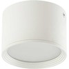 Lubinis šviestuvas 8W LED paviršinis lubų šviestuvas, baltas, 3000K, 22133