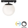8W LED šviestuvas į magnetinius bėgelius MICRO MAGNETIC, juodas, 3000K, dimeriuojamas, 4316100