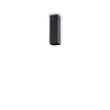 Lubinis šviestuvas Ideal Lux Ceiling lamp with 1 light SKY, GU10, juodas