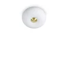 Lubinis šviestuvas Ideal Lux Ceiling lamp with 2 lights ARIZONA, GX53, pilka