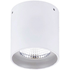 Lubinis šviestuvas 10W LED paviršinis šviestuvas MATE, baltas, 3000K