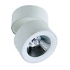 Lubinis šviestuvas 11W LED paviršinis šviestuvas MORIS, baltas, 3000K, 4208300
